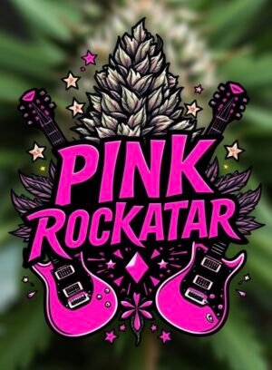 HIGH QUALITY  BC Pink Rockstar