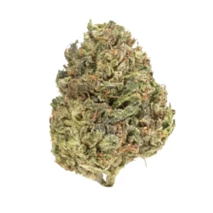Big Bubba Diesel