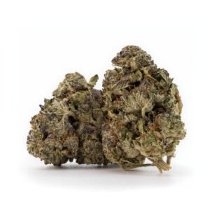 ASTROCHIMP - High Quality