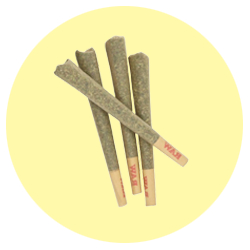 Pre Rolls