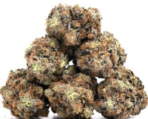 Black Truffle