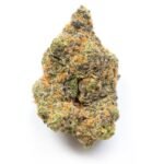 Boy Scout cookies