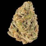 Animal cookies