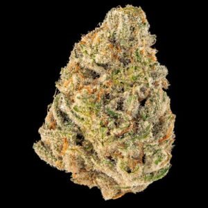 Animal cookies