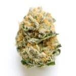 Grease monkey
