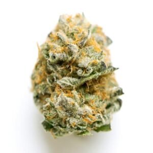 Grease monkey